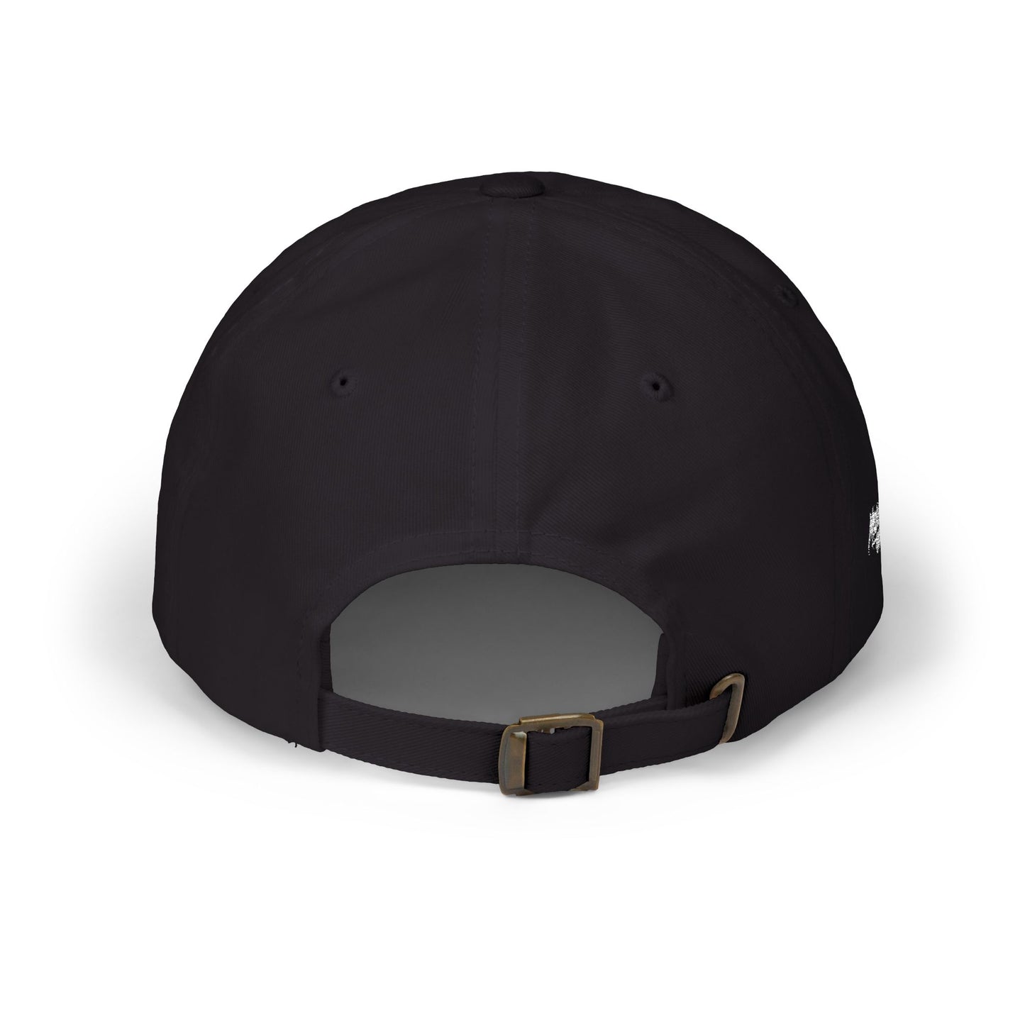 DISINFORMATION DAD HAT